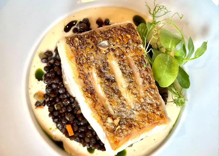 프란츠호텔 로텐부르크 호텔 4*